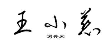 梁錦英王小慈草書個性簽名怎么寫