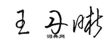 駱恆光王丹晰草書個性簽名怎么寫