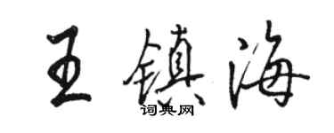 駱恆光王鎮海行書個性簽名怎么寫