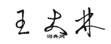 駱恆光王大林草書個性簽名怎么寫