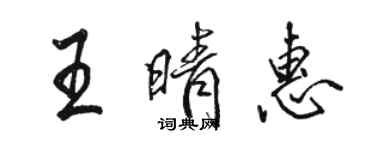 駱恆光王晴惠行書個性簽名怎么寫