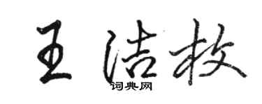 駱恆光王潔枚行書個性簽名怎么寫
