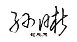 駱恆光孫晰草書個性簽名怎么寫