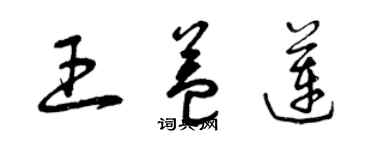 曾慶福王益蓮草書個性簽名怎么寫