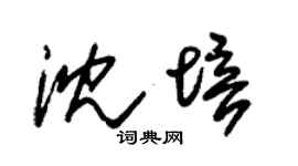 朱錫榮沈培草書個性簽名怎么寫