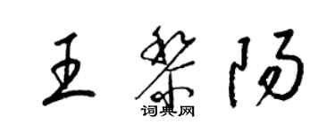 梁錦英王黎陽草書個性簽名怎么寫