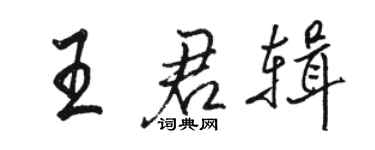 駱恆光王君輯行書個性簽名怎么寫