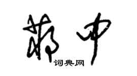 朱錫榮蔣中草書個性簽名怎么寫