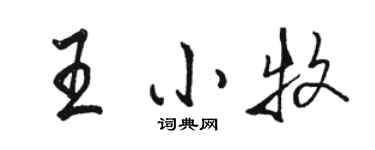 駱恆光王小牧行書個性簽名怎么寫