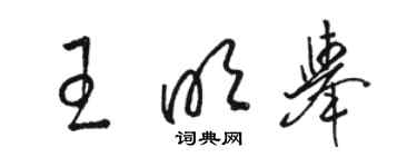 駱恆光王明舉草書個性簽名怎么寫