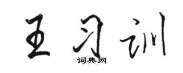 駱恆光王習訓行書個性簽名怎么寫