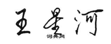 駱恆光王星河行書個性簽名怎么寫