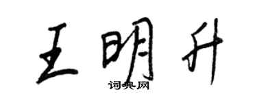王正良王明升行書個性簽名怎么寫