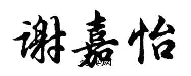 胡問遂謝嘉怡行書個性簽名怎么寫