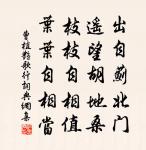 水調歌頭原文_水調歌頭的賞析_古詩文