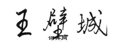 駱恆光王壁城行書個性簽名怎么寫