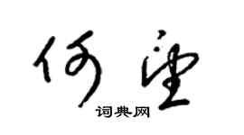 梁錦英何望草書個性簽名怎么寫