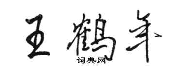 駱恆光王鶴年行書個性簽名怎么寫