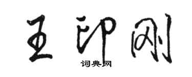駱恆光王印剛行書個性簽名怎么寫