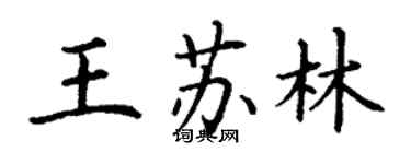 丁謙王蘇林楷書個性簽名怎么寫