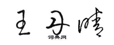 駱恆光王丹晴草書個性簽名怎么寫