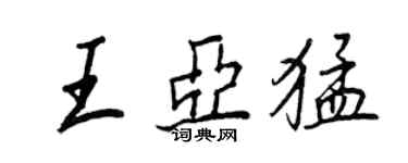 王正良王亞猛行書個性簽名怎么寫