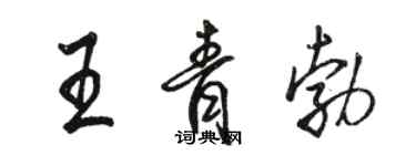 駱恆光王青勃行書個性簽名怎么寫