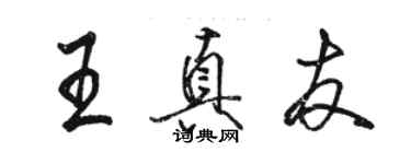 駱恆光王真友行書個性簽名怎么寫