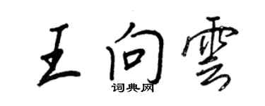 王正良王向雲行書個性簽名怎么寫
