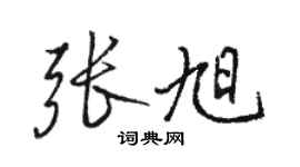 駱恆光張旭行書個性簽名怎么寫