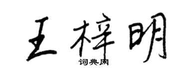 王正良王梓明行書個性簽名怎么寫