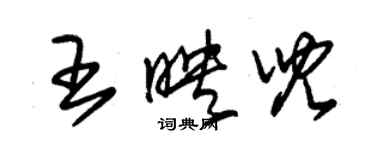 朱錫榮王映兒草書個性簽名怎么寫