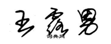 朱錫榮王露男草書個性簽名怎么寫
