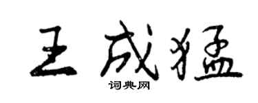 曾慶福王成猛行書個性簽名怎么寫