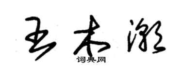 朱錫榮王木潮草書個性簽名怎么寫