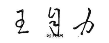 駱恆光王自力草書個性簽名怎么寫