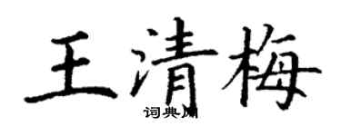 丁謙王清梅楷書個性簽名怎么寫