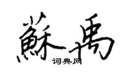 王正良蘇禹行書個性簽名怎么寫