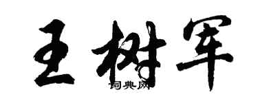 胡問遂王樹軍行書個性簽名怎么寫