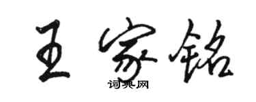 駱恆光王家銘行書個性簽名怎么寫