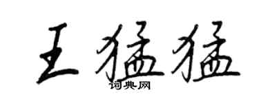 王正良王猛猛行書個性簽名怎么寫