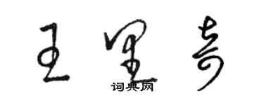 駱恆光王里奇草書個性簽名怎么寫