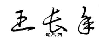 曾慶福王長年草書個性簽名怎么寫