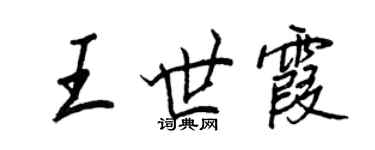 王正良王世霞行書個性簽名怎么寫