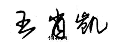 朱錫榮王肖凱草書個性簽名怎么寫