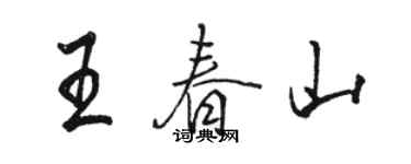 駱恆光王春山行書個性簽名怎么寫