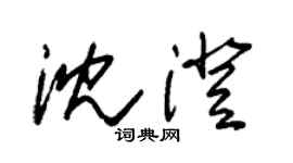 朱錫榮沈澄草書個性簽名怎么寫