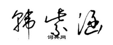 梁錦英韓紫涵草書個性簽名怎么寫