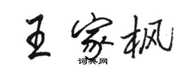 駱恆光王家楓行書個性簽名怎么寫