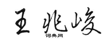 駱恆光王兆峻行書個性簽名怎么寫